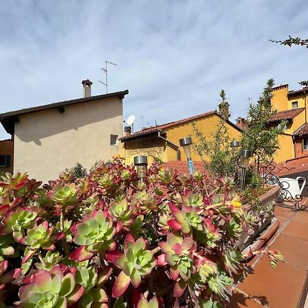 Margherita Apartment W/ Terrace ボローニャ エクステリア 写真